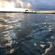 OIl sheen sits on the surface of Barataria Bay June 19, 2010 west of Port Sulpher, Louisiana.